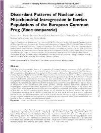 Discordant Patterns of Nuclear and Mitochondrial Introgression in Iberian Populations of the European Common Frog (Rana Temporaria)