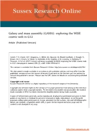 Galaxy and Mass Assembly (GAMA): Exploring the WISE Web in G12