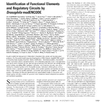 Identification of Functional Elements and Regulatory Circuits By