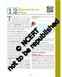 Reproduction in Plants Which But, She Has Never Seen the Seeds We Shall Learn in This Chapter