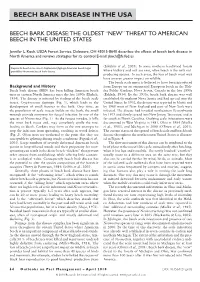 Beech Bark Disease in the Usa