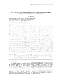 Phyllosilicates in the Sediment-Forming Processes: Weathering, Erosion, Transportation, and Deposition