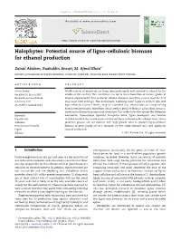Potential Source of Ligno-Cellulosic Biomass for Ethanol Production