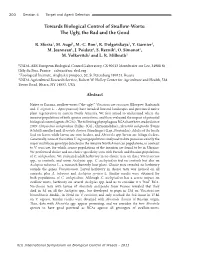 Towards Biological Control of Swallow-Worts: the Ugly, the Bad and the Good