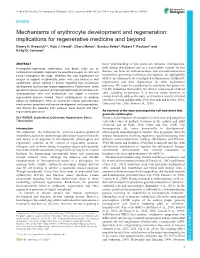 Mechanisms of Erythrocyte Development and Regeneration: Implications for Regenerative Medicine and Beyond Emery H