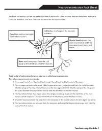 Neurotransmission Fact Sheet