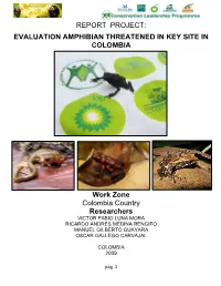 Report Project: Evaluation Amphibian Threatened in Key