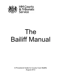The Bailiff Manual