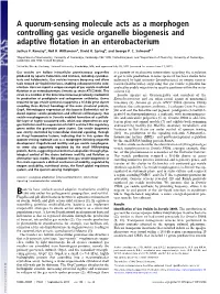A Quorum-Sensing Molecule Acts As a Morphogen Controlling Gas Vesicle Organelle Biogenesis and Adaptive Flotation in an Enteroba