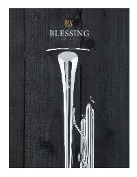 Blessing 2018 Repro V2.Indd