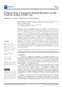 Ecological Study of Aquaponics Bacterial Microbiota Over the Course of a Lettuce Growth Cycle