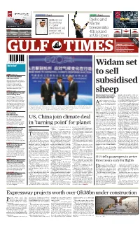 Widam Set to Sell Subsidised Sheep