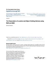 The Dissociation of Location and Object Working Memory Using Fmri and MEG