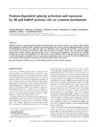 Position-Dependent Splicing Activation and Repression by SR and Hnrnp Proteins Rely on Common Mechanisms