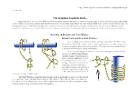 The Scrapboard Guide to Knots. Part One: a Bowline and Two Hitches