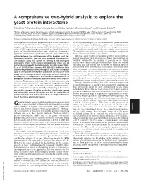 A Comprehensive Two-Hybrid Analysis to Explore the Yeast Protein Interactome