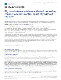 Big Conductance Calcium-Activated Potassium Channel Openers Control Spasticity Without Sedation
