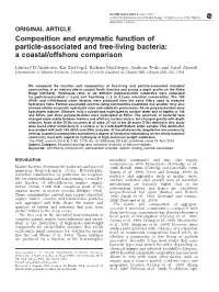 Composition and Enzymatic Function of Particle-Associated and Free-Living Bacteria: a Coastal/Offshore Comparison