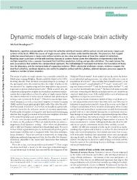 Dynamic Models of Large-Scale Brain Activity