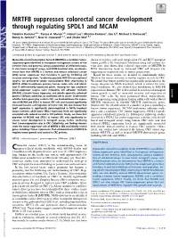 MRTFB Suppresses Colorectal Cancer Development Through Regulating SPDL1 and MCAM