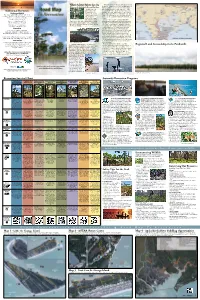 Road Map to Recreation