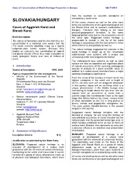 Section II: Summary of the Periodic Report on the State of Conservation, 2006