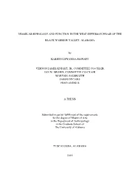 Vessel Morphology and Function in the West Jefferson Phase of The