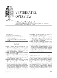 Vertebrates, Overview