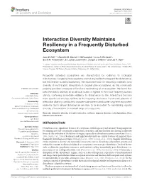 Interaction Diversity Maintains Resiliency in a Frequently Disturbed Ecosystem