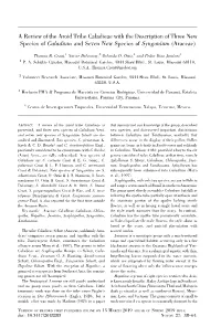 A Review of the Aroid Tribe Caladieae with the Description of Three New Species of Caladium and Seven New Species of Syngonium (Araceae)
