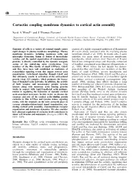 Cortactin: Coupling Membrane Dynamics to Cortical Actin Assembly