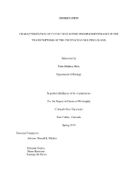 Dissertation Characterization Of