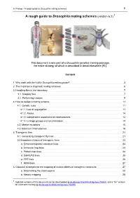 A Rough Guide to Drosophila Mating Schemes 1