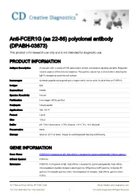 Anti-FCER1G (Aa 22-86) Polyclonal Antibody (DPABH-03673) This Product Is for Research Use Only and Is Not Intended for Diagnostic Use