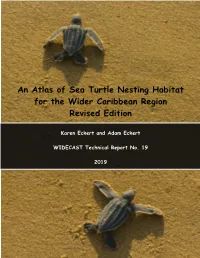 Creating a Sea Turtle Habitat Spatial Database for the Wider