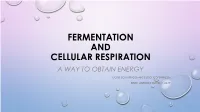 Fermentation and Cellular Respiration a Way to Obtain Energy
