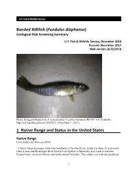 Fundulus Diaphanus) Ecological Risk Screening Summary