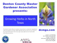 Growing Herbs in North Texas