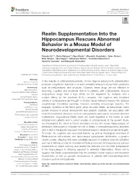 Reelin Supplementation Into the Hippocampus Rescues Abnormal Behavior in a Mouse Model of Neurodevelopmental Disorders