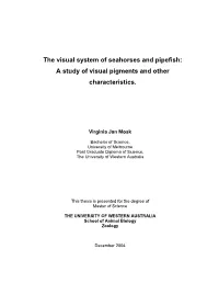 The Visual System of Seahorses and Pipefish: a Study of Visual Pigments and Other Characteristics