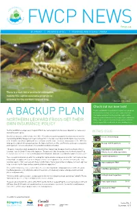 A Backup Plan