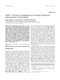 DEAF-1 Function Is Essential for the Early Embryonic Development Of
