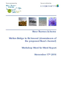 Downstream Workshop Word for Word Report
