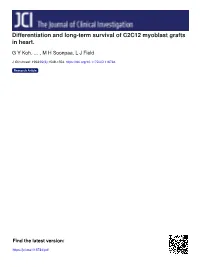 Differentiation and Long-Term Survival of C2C12 Myoblast Grafts in Heart