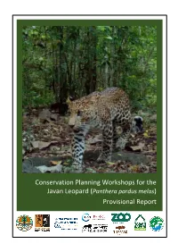 Javan Leopard PHVA Provisional Report May2020.Pdf