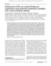 Subtelomeric CTCF and Cohesin Binding Site Organization Using Improved Subtelomere Assemblies and a Novel Annotation Pipeline