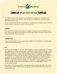 Care of Mud and Musk Turtles
