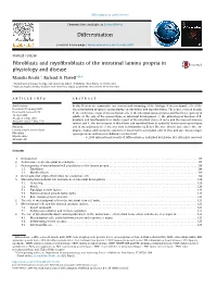 Invited Reviewfibroblasts and Myofibroblasts of the Intestinal
