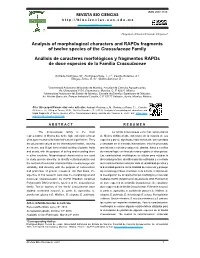 Analysis of Morphological Characters and Rapds Fragments of Twelve Species of the Crassulaceae Family