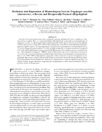 Evolution and Expression of Homeologous Loci in Tragopogon Miscellus (Asteraceae), a Recent and Reciprocally Formed Allopolyploid